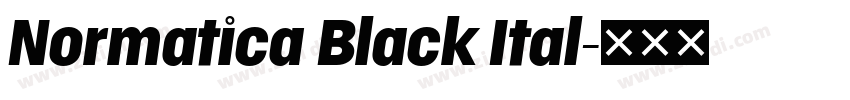 Normatica Black Ital字体转换